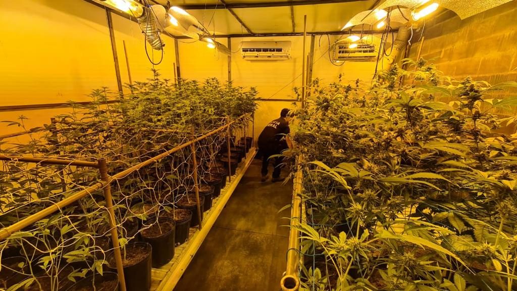 Operação localiza suposta plantação de maconha com estrutura profissional no bairro Vila Progresso em Niterói